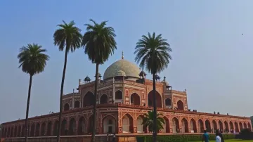 A sunlit monument framed by palm trees, from Cinewalk Rewind